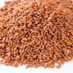 Qasimi Cress Seeds (Half Kilo)